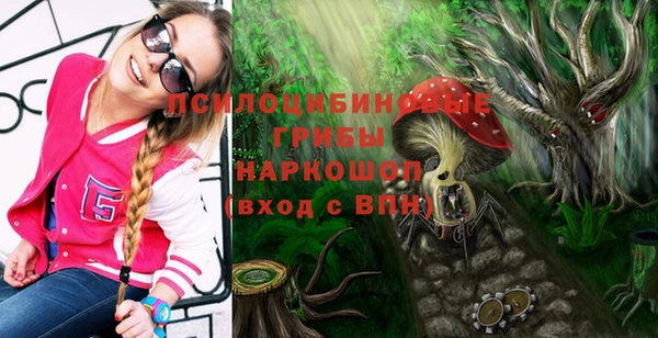 прущий лед Пестово