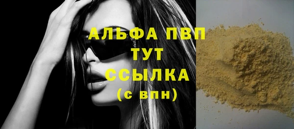 индика Алексин