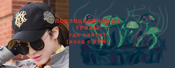 ГАЛЛЮЦИНОГЕННЫЕ ГРИБЫ Алексеевка