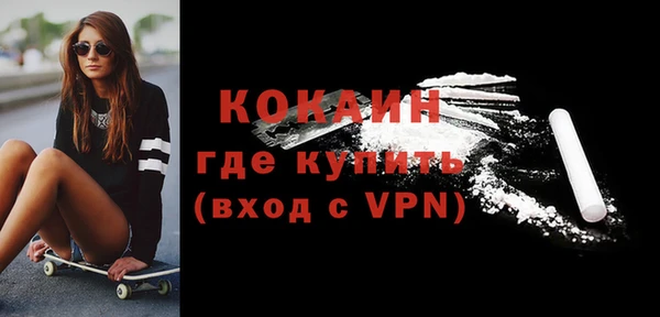 индика Алексин
