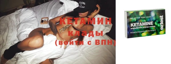 индика Алексин