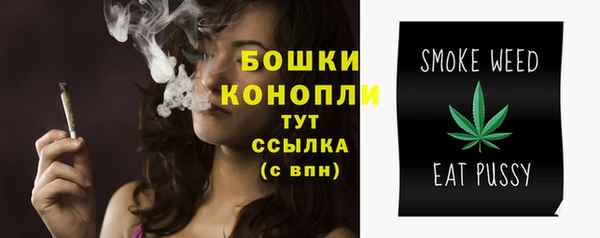 индика Пересвет