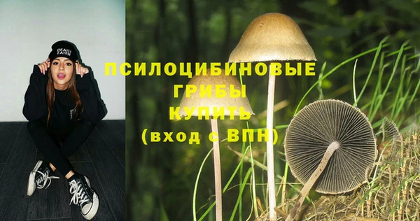 индика Алексин