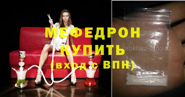 индика Алексин