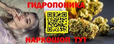 стафф Можга