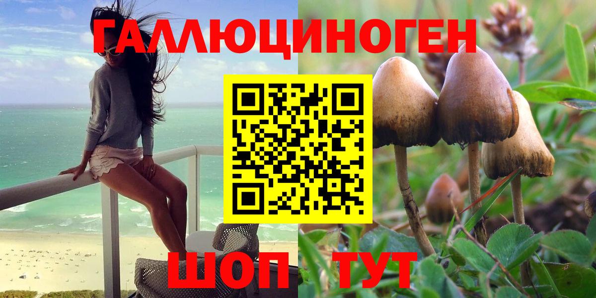 Псилоцибиновые грибы Cubensis Павловский Посад